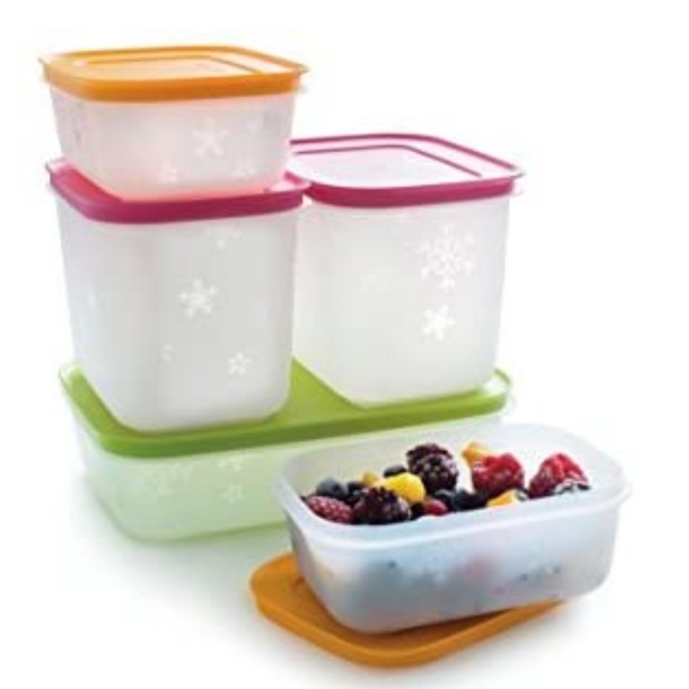 Tupperware  Freezermates Starter Set of 5 New